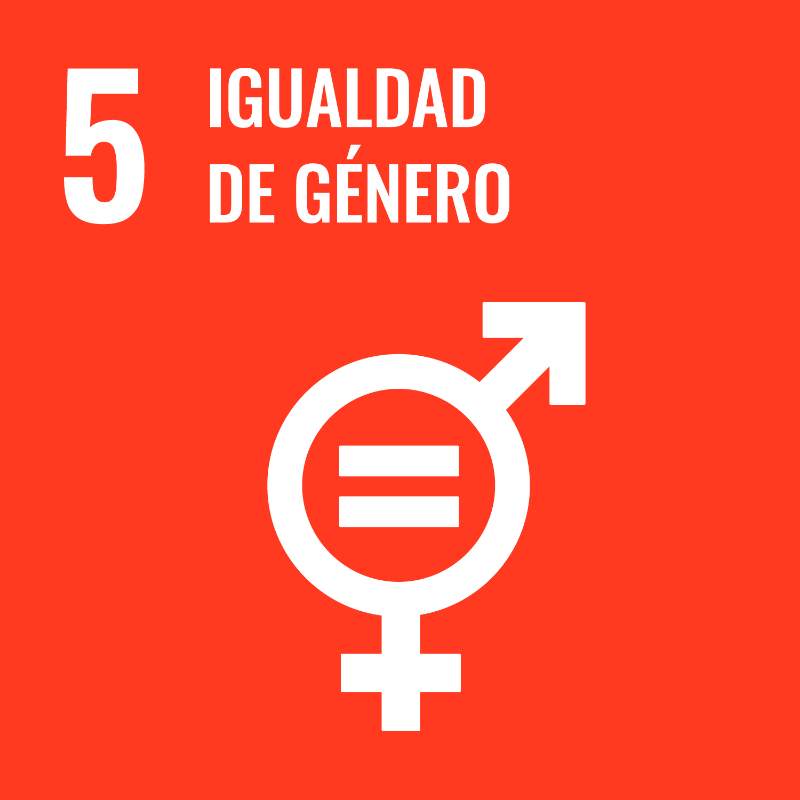 Goal 5: Gender Equality - UNICC